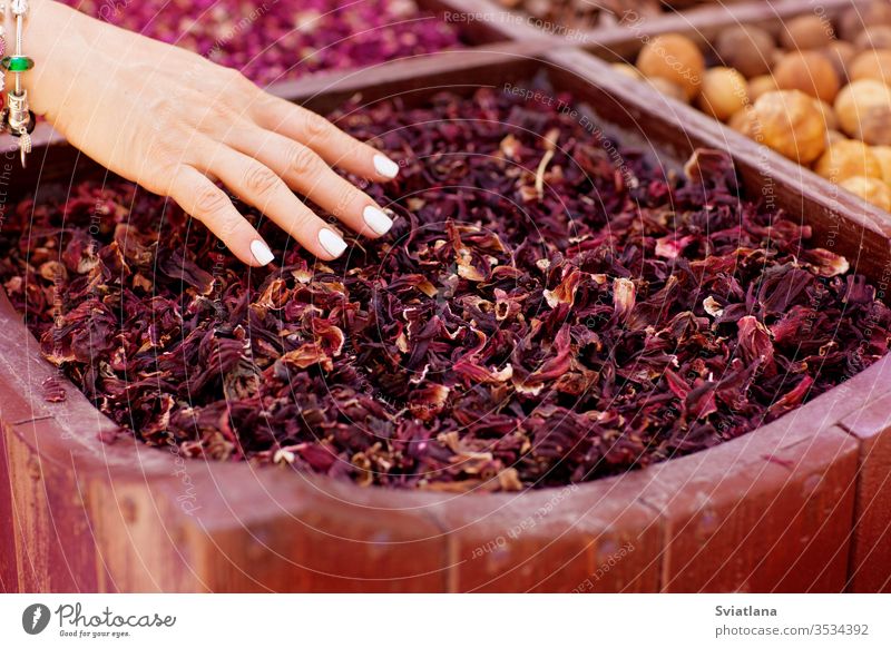 Große Auswahl an verschiedenen Gewürzen auf dem Markt Würzig Kraut Hintergrund Lebensmittel Geschmack Essen zubereiten natürlich Paprika Samen aromatisch Makro