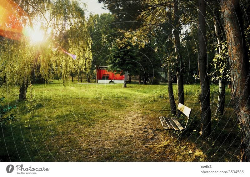 Kleine Bühne Park Wald Bank Parkbank Sonnenlicht Bäume strahlend leuchtend Lichterscheinung Blendenfleck geheimnisvoll Außenaufnahme Farbfoto Gegenlicht Tag