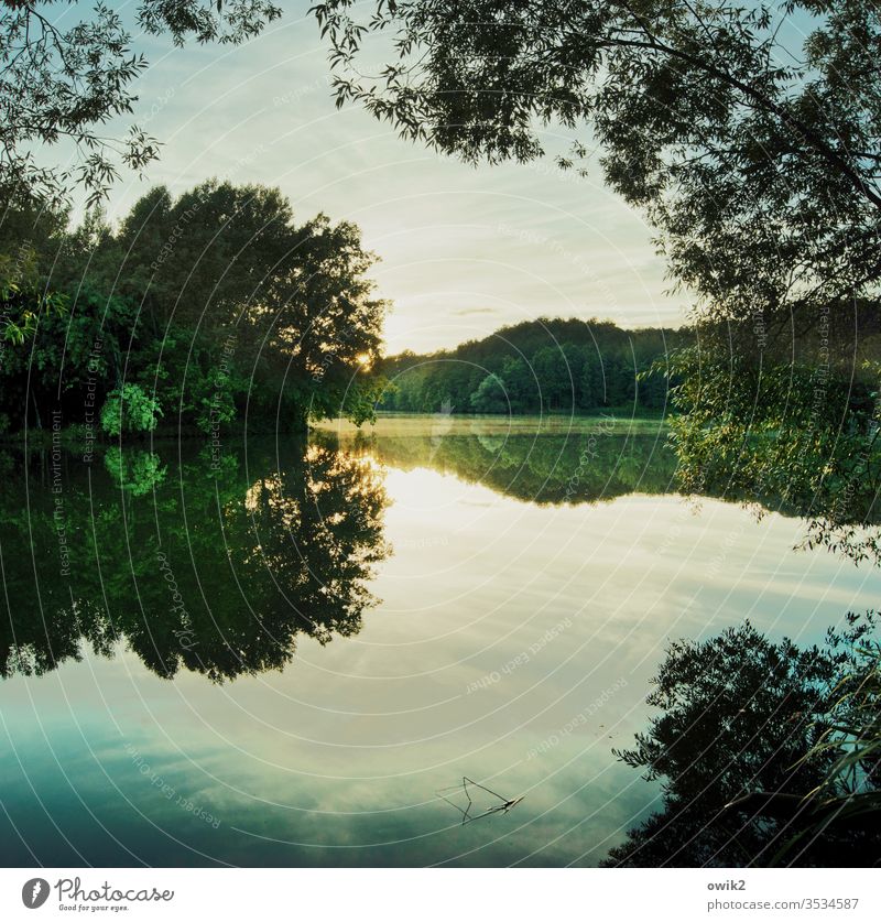 Sonne unter See Seeufer Wald Himmel Idylle Bäume Sonnenlicht Sonnenuntergang Wasseroberfläche Wasserspiegelung Reflexion & Spiegelung friedlich windstill Weite