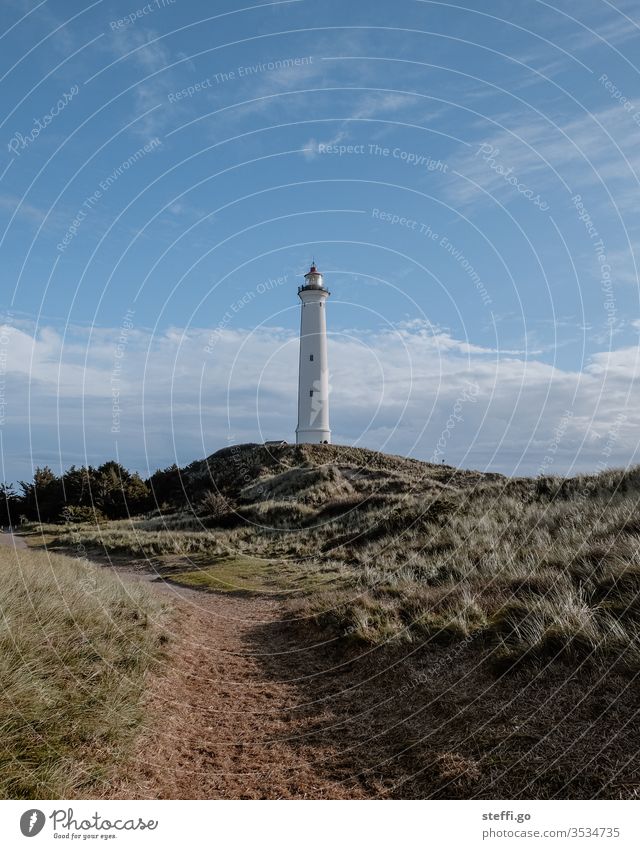 Leuchtturm Lyngvig Fyr in den Dünen von Hvide Sande Dänemark Skandinavien skandinavisch Aussicht Außenaufnahme Nordsee Landschaft Ferien & Urlaub & Reisen