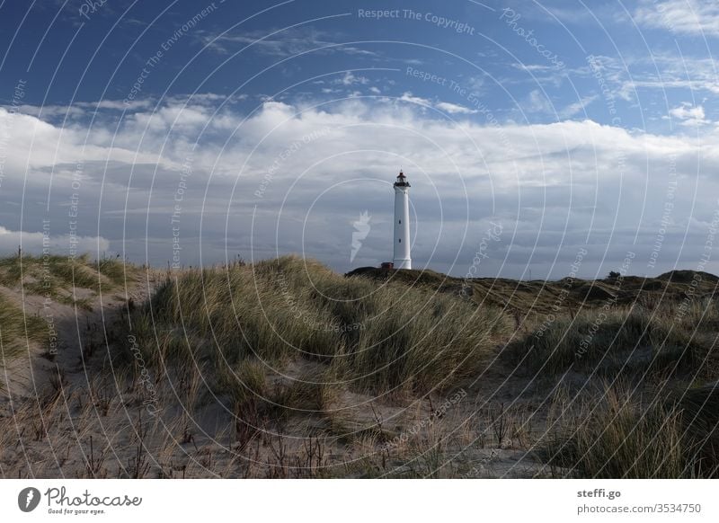 Leuchtturm Lyngvig Fyr in den Dünen von Hvide Sande Dänemark Skandinavien skandinavisch Aussicht Außenaufnahme Nordsee Landschaft Ferien & Urlaub & Reisen