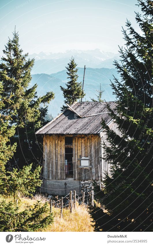 Eine von Tannen eingerahmte, verlassene Hütte mit den Bayerischen Alpen im Hintergrund Gebirge Berge u. Gebirge Himmel blau Landschaft Natur Außenaufnahme