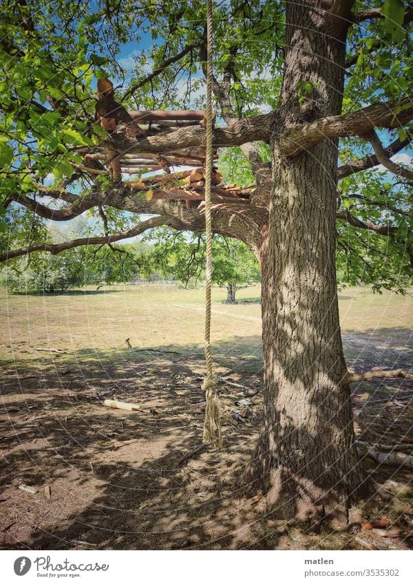 Hochsitz seil baum wald heide abenteuer himmel frühling spielplatz