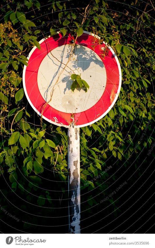 Durchfahrtsverbot am Abend schild verkehrsschild durchfahrtsverbot regel verkehrsregel wald park busch zweig natur hecke abend dämmerung licht schatten