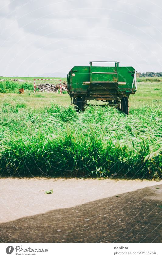 Grüner und alter Wohnwagen auf der grünen Wiese aufgegeben Anhänger Frühling rustikal ländlich Land Landleben Arbeit Fahrzeug Landschaft Feld Gras Farbe