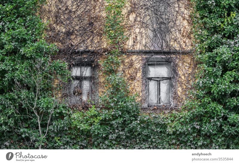 Zwei alte Kastenfenster und eine zugewachsene Fassade Verlassen antik Appartement Architektur Hintergrund gebrochen Gebäude Gebäudeaußenseite gebaute Struktur