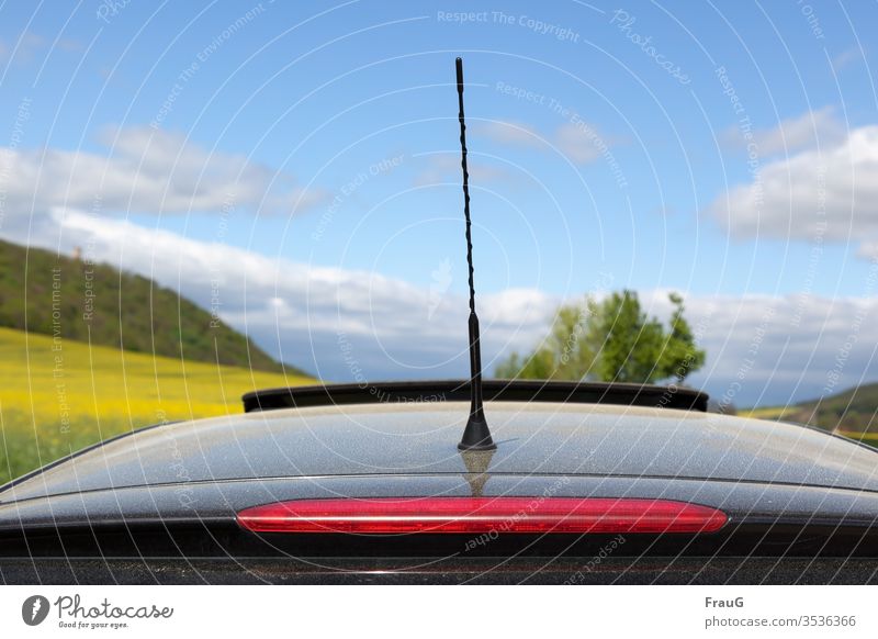 Der Raps blüht und hinterlässt gelben Blütenstaub auf dem Autodach Landschaft Frühling Autodach... Antenne Bremslicht Staub ölig Pollen Schiebedach Rapsblüte