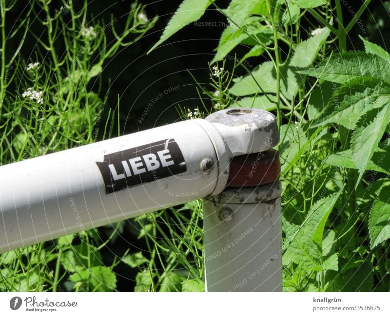 Aufkleber „Liebe“ auf einem Absperrgeländer, im Hintergrund Grünpflanzen Schilder & Markierungen Buchstaben Wort Schriftzeichen Typographie Letter Großbuchstabe