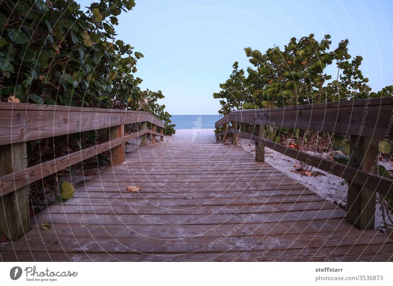 Strandpromenade zum Strand in Port Royal von Neapel Weg Promenade Laufsteg Strandweg Florida Küste Küstenlinie Küstenstreifen Landschaft Reise Sand Meer MEER