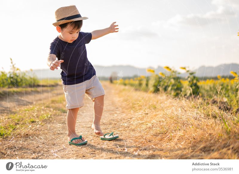 Glücklicher kleiner Junge auf der grünen Wiese heiter Sonnenblume Feld aufgeregt Natur sorgenfrei Hut Kind Lächeln Freude Kindheit froh positiv Landschaft