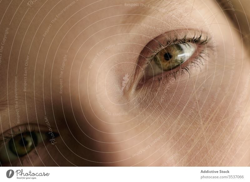 Schnittmodell mit grünen Augen Frau grüne Augen Sauberkeit Haut jung Schönheit natürlich besinnlich Gesundheit perfekt Model Regenbogenhaut Pupille Farbe Blick