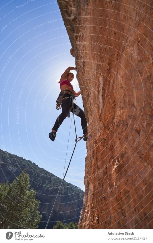 Starke Bergsteigerin klettert an sonnigem Tag auf felsigen Hang Frau Alpinist Seil Gerät Berge u. Gebirge extrem aktiv Aufstieg Abenteuer Sport Aufsteiger