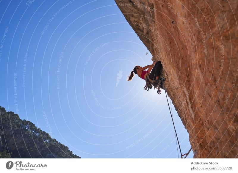 Starke Bergsteigerin klettert an sonnigem Tag auf felsigen Hang Frau Alpinist Seil Gerät Berge u. Gebirge extrem aktiv Aufstieg Abenteuer Sport Aufsteiger