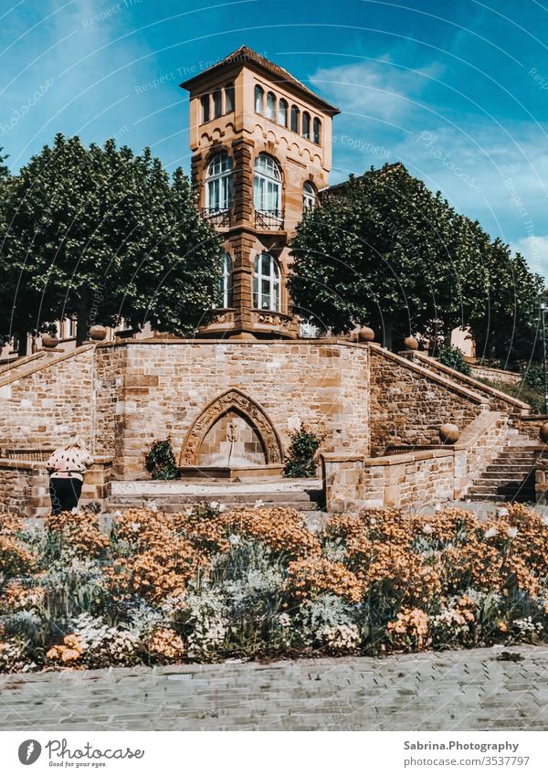 Traditionelles Haus mit Turm in Worms, Deutschland Blumen Beet Blumenbeet Stein Pflanze Natur Blüte Blühend Außenaufnahme Sommer Farbfoto Tag Park grün