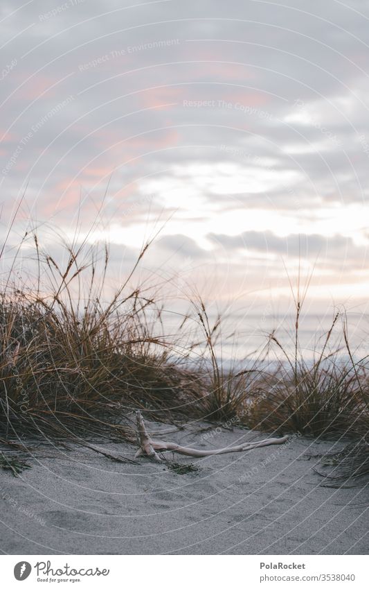 #AS# Stranddüne im Sonnenuntergang Düne Dünengras dünenlandschaft Dünenkamm Düne 45 Dünenweg Küste Urlaub Urlaubsstimmung Außenaufnahme Ferien & Urlaub & Reisen