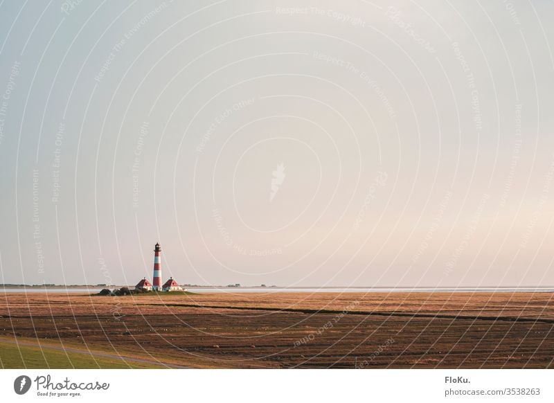 Leuchtturm von Westerhever am Abend Schleswig-Holstein Nordsee Nordseeküste wattenmeer Dithmarschen deich Deichvorland küstenlandschaft natur horizont himmel