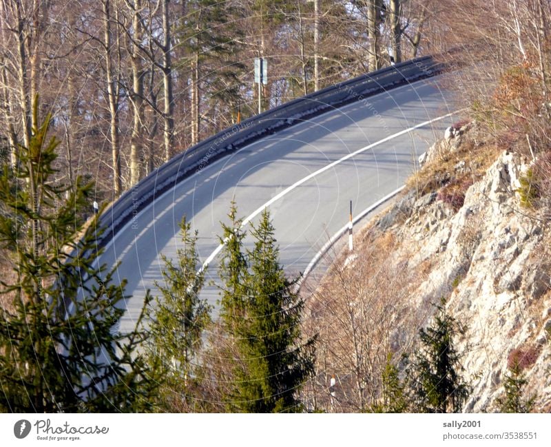 Bahn frei... Straße Bergstraße Kurve Fahrbahn Asphalt Straßenmarkierung Alpen Passstraße Winter Wald Bäume Verkehrsweg Wege und Pfade leer bahn frei aufwärts