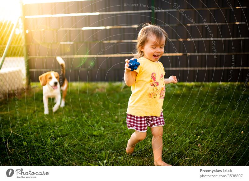 Süßes kleines Mädchen, das an einem Sommertag von einem Beagle-Hund im Garten gejagt wird. 12-18 Monate Kind im Freien bezaubernd Tier Baby Hintergrund