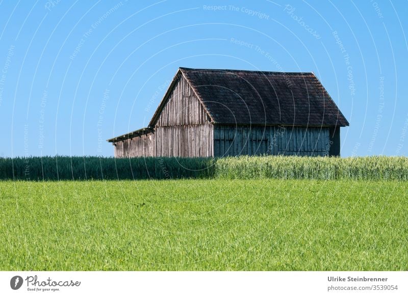 Holzscheune hinter grüner Wiese und vor blauem Himmel Scheune Holzhaus Schuppen Feld Acker Getreide Landwirtschaft Weide Gras Sommer Landschaft Ackerbau