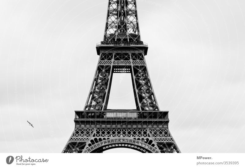 der Turm in Paris Eifelturm Frankreich Vogel grau Aussichtsturm Tour d'Eiffel Sehenswürdigkeit Europa Wahrzeichen Himmel Hauptstadt Denkmal Tourismus