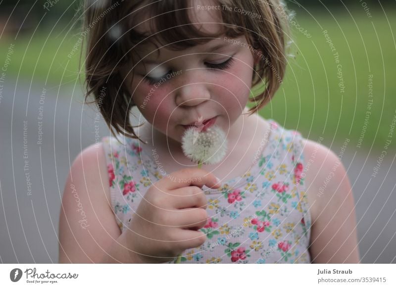 Mädchen mit Pusteblume in der Hand Löwenzahn pusten kurzhaarig ponyfrisur T-Shirt draußen grinsen