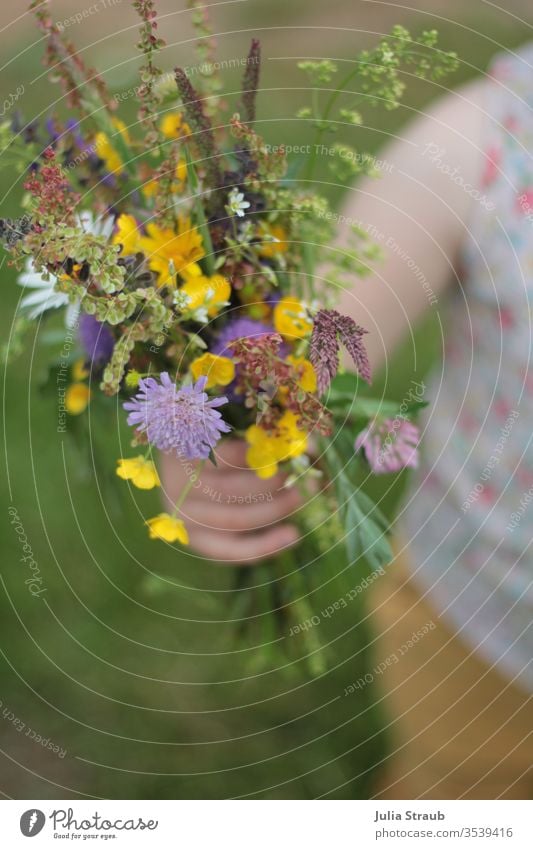 Kind hält Wildblumenstrauß in der Hand Blumenstrauß Blüte schenken halten Kleinkind Muttertagsgeschenk Geburtstag Natur