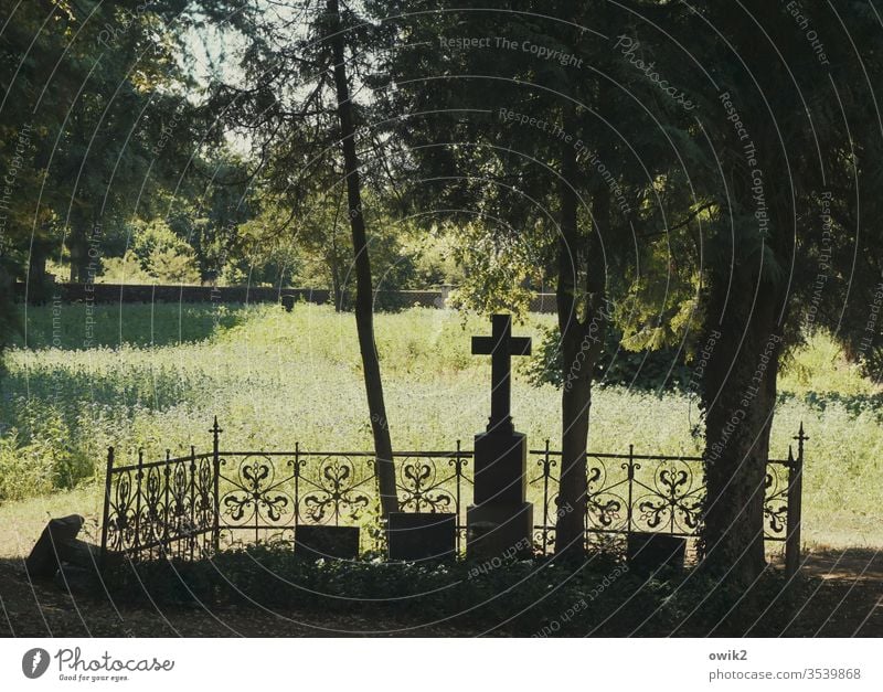 Trauerfall Friedhof Grab Kreuz historisch alt früher Vergangenheit Traurigkeit Abschied Tod Vergänglichkeit Silhouette Schatten Sonnenlicht Baum Gitter