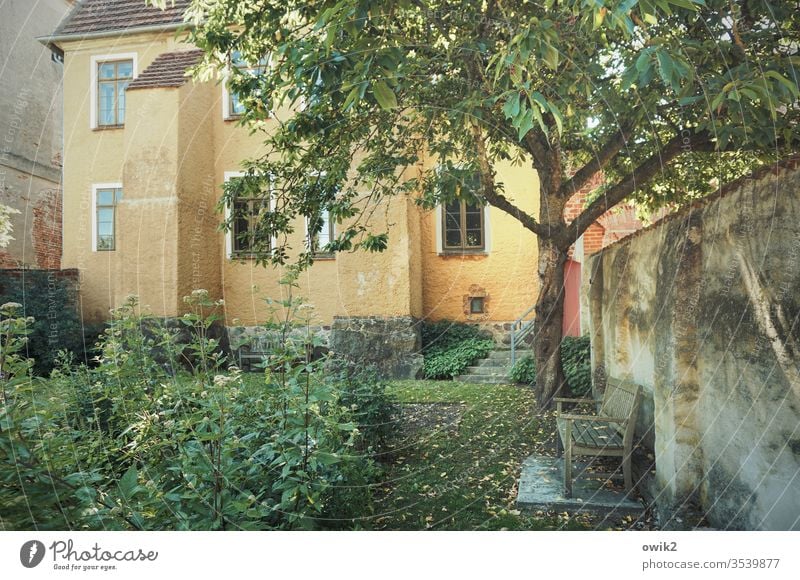 Garten hinterm Haus Mauer Bank Baum Pflanzen Sträucher Fenster Idylle Ruhe friedlich Herbst Sonnenlicht Schönes Wetter Außenaufnahme Farbfoto Menschenleer Natur