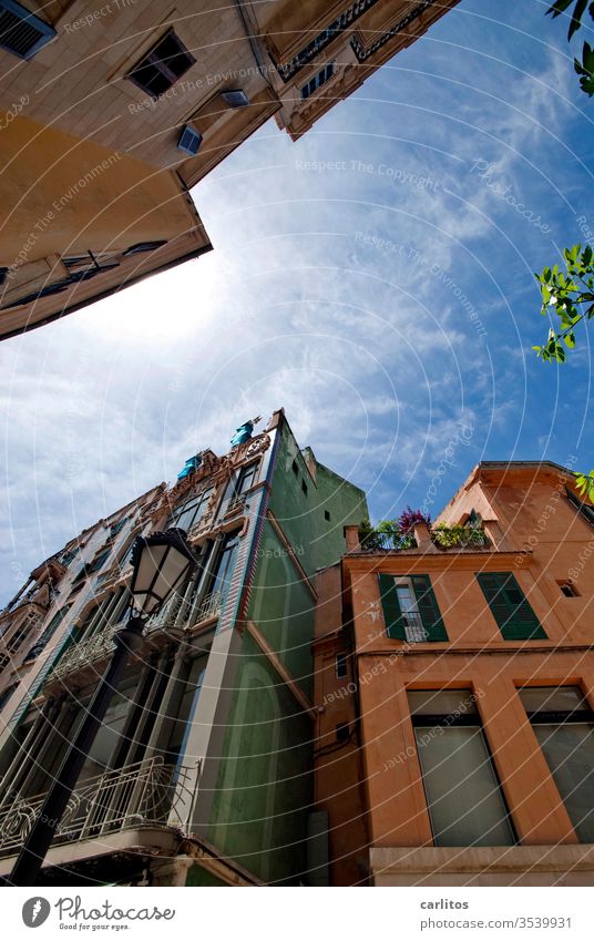 Wochende im Süden II Mallorca Urlaub Altstadt Fassade mediterran Fenster Architektur Wand alt Haus Balkon Mauer Menschenleer Fensterladen Sommer