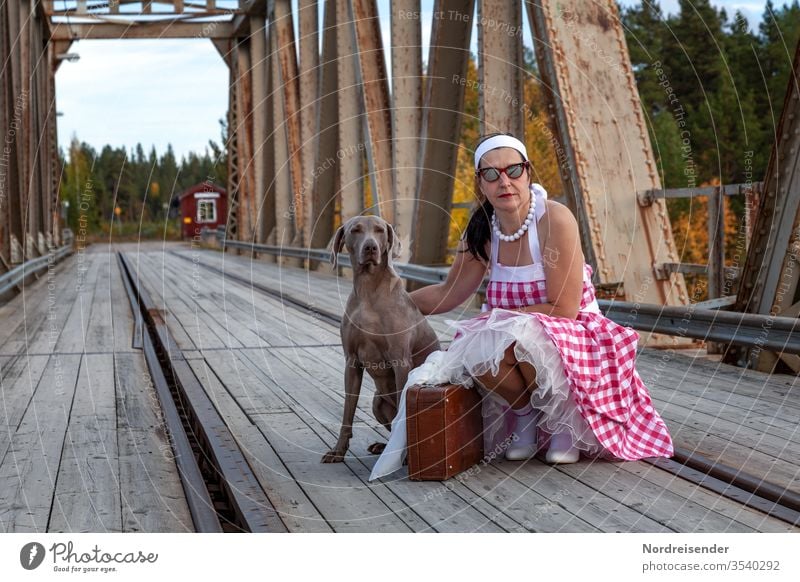 Beste Freunde auf der Reise Farbfoto Außenaufnahme Jagdhund Weimaraner Sonnenbrille Lebensfreude skurril Unterrock Stirnband trendy Fröhlichkeit sitzen Kleid