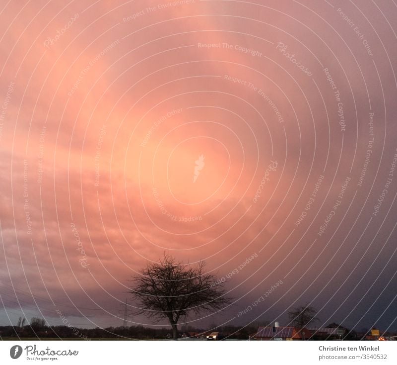 Dramatische Sonnenuntergangsstimmung am Dorfrand mit orangefarbenen Wolken und einzelstehendem Baum Sonnenuntergangshimmel Himmel Abend Abenddämmerung