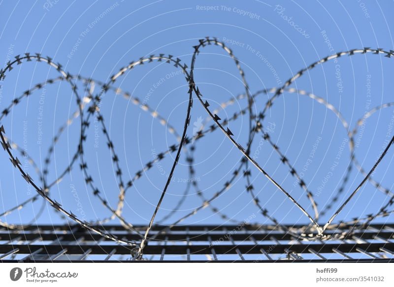 Stacheldraht vor blauem Himmel Stacheldrahtzaun" Natodraht Maschendrahtzaun Barriere Borte Justizvollzugsanstalt Metall Schutz Zaun Verbote Folter
