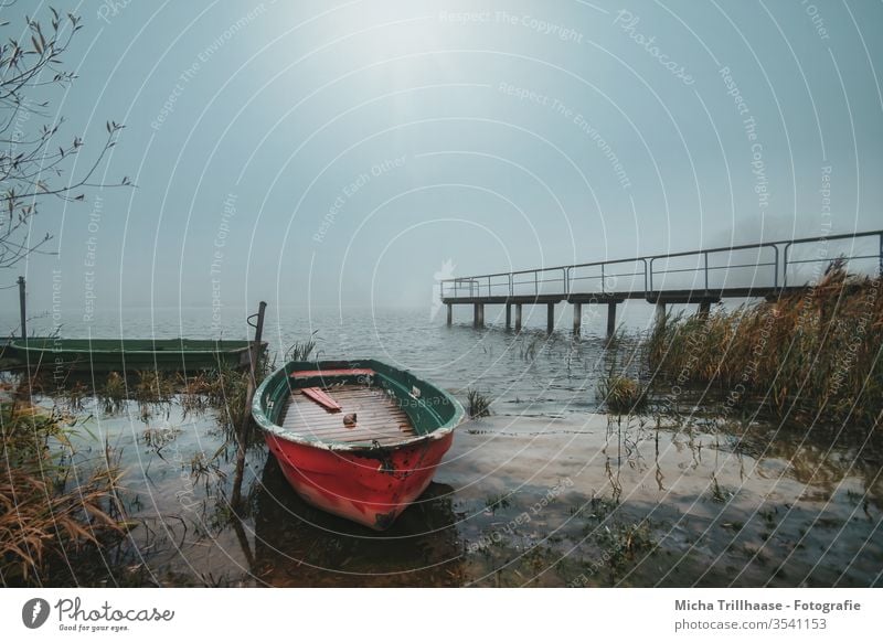 Nebelmorgen am See Gewässer Wasser Boote Kähne Steg Nebelschwaden Nebelschleier Schilf Natur Landschaft Morgen Morgennebel Thüringen Stausee Friemar Dunst