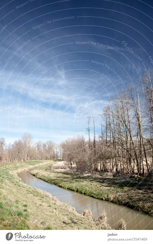 wassergraben, kahle bäume, fahrradweg und reiseträume. Wassergraben Außenaufnahme Farbfoto Umwelt Natur Tag Menschenleer Landschaft grün Pflanze Baum Gras