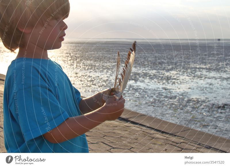 abends an der Nordsee - Junge steht bei Ebbe in der Abendsonne am Watt, hält Federn in den Händen und schaut in die Ferne Mensch Kind Wattenmeer Küste