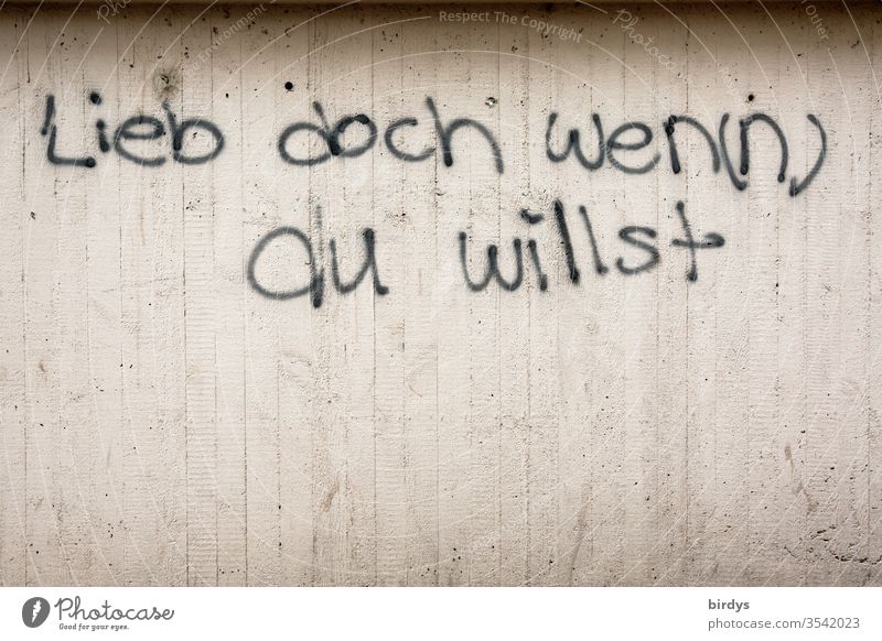 Lieben wen du willst oder wenn du willst. Auf Beton gesprühter doppeldeutiger Satz, Graffiti lieben Aufforderung Mut machen Sexuelle Neigung Pansexuell