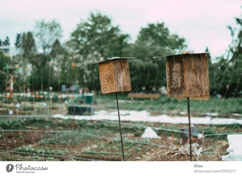 Zwei selbstgebaute Bienenhotels als Nistplatz, Bienenstock und Nest für Bienen Insekten Artenvielfalt Naturschutz Garten Gartenanlage Menschenleer Bienenschutz