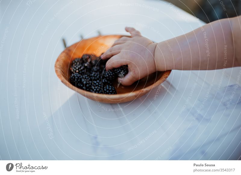 Kind pflückt Brombeeren von Hand Farbfoto Natur Brombeerbusch Außenaufnahme Frucht Beeren lecker grün Menschenleer Pflanze Nahaufnahme Sträucher Tag