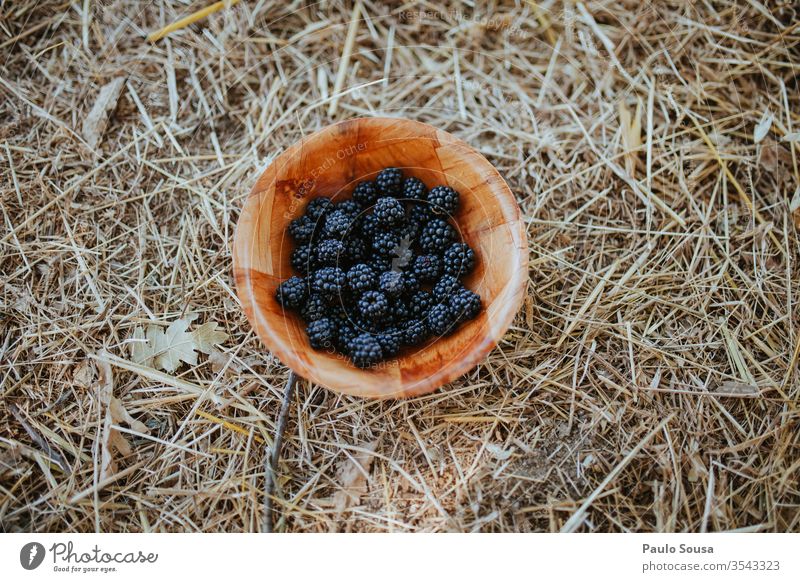 Schale mit Brombeeren Schalen & Schüsseln Frucht Sommer flache Verlegung lecker Lebensmittel frisch Gesundheit Gesunde Ernährung rot Farbfoto natürlich süß Diät