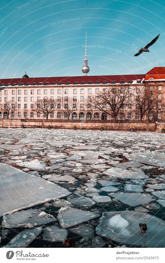 Eisschollen mit Fernsehturm II Ferien & Urlaub & Reisen Städtereise Sightseeing Ausflug Tourismus Umwelt Winter Schönes Wetter Frost Flussufer Hauptstadt