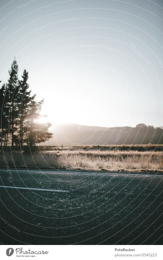 #As# Ruhe auf der Landstraße Neuseeland Neuseeland Landschaft Asphalt Straße Natur Farbfoto Außenaufnahme