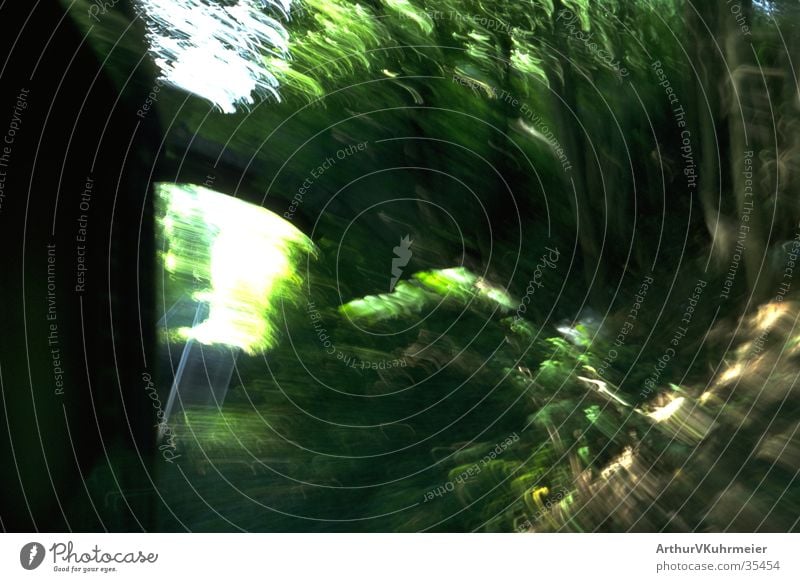 rasante Zugfahrt Unschärfe grün Licht Eisenbahn Gleise Wald Baum Verkehr Schatten Brücke Geschwindigkeit