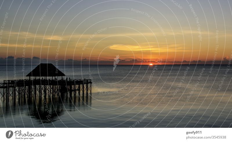 Fernweh Sansibar Afrika Sonnenuntergang Wolken Himmel Meer Wasser Abend Ferien & Urlaub & Reisen Abenddämmerung Küste Romantik Landschaft Farbfoto Außenaufnahme