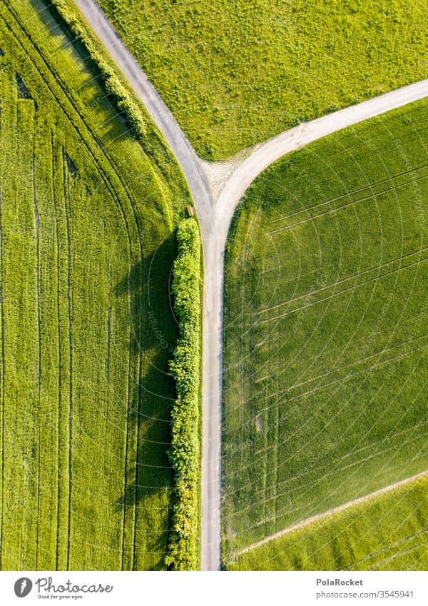 #S# Finde deinen Weg II Blick in die Kamera Totale Zentralperspektive Abend Licht Vogelperspektive Tag Textfreiraum links Textfreiraum rechts Textfreiraum oben