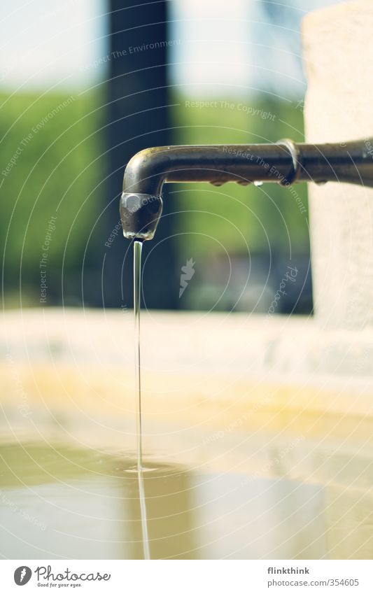 Wasserhan Brunnen heiß kalt Sauberkeit ruhig Erholung erholsam Trinkwasser Erfrischung Quelle Leben Blubbern Farbfoto Außenaufnahme Detailaufnahme Menschenleer