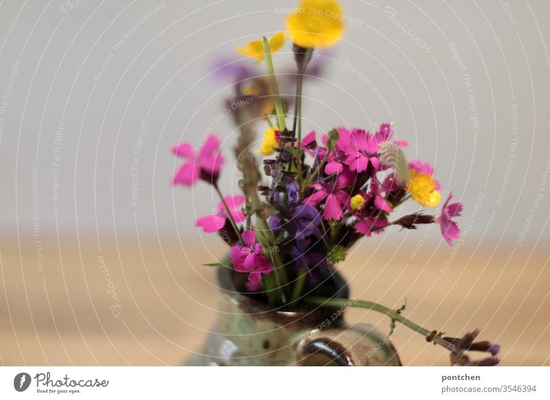 Butterblume, Eisenkraut Salbei, Kartäuser Nelke, Ein bunter, selbstgepflückter,  Strauß Wiesenblumen in einer kleinen Vase Wildblumen vase pink gelb lila