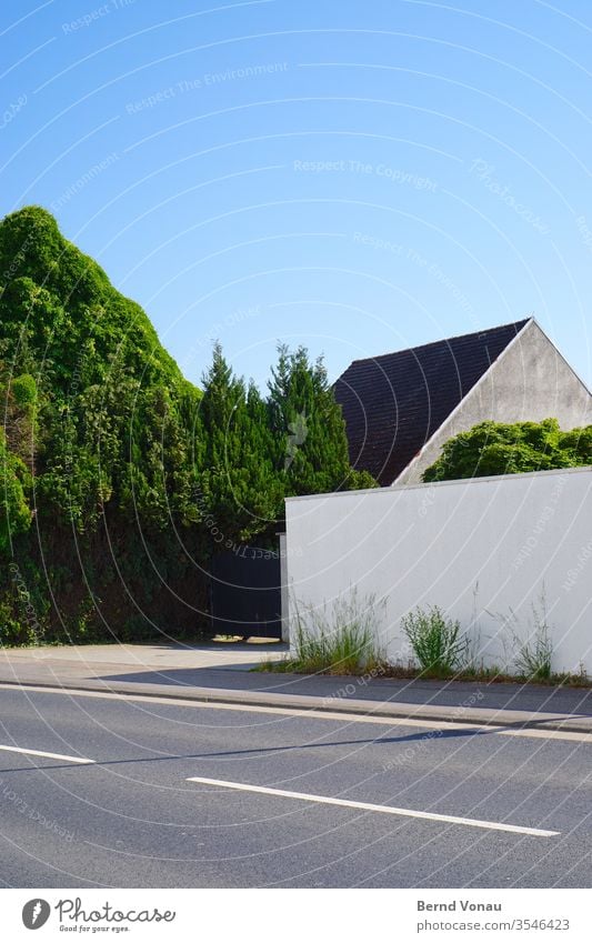 Strassenszene Straße Gebäude grün Haus Außenaufnahme Menschenleer Architektur Wege & Pfade Fassade Wand Mauer Tag Farbfoto Stadt Textfreiraum oben Verkehrswege