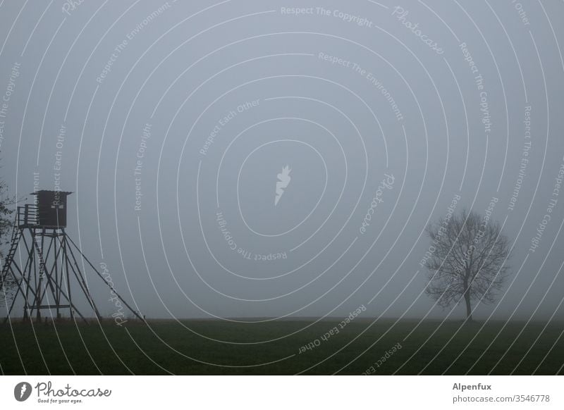 unter Beobachtung Hochsitz Nebel Außenaufnahme Menschenleer Herbst Natur Landschaft grau neblig Neblige Landschaft nebliger Morgen Baum Wetter Wiese