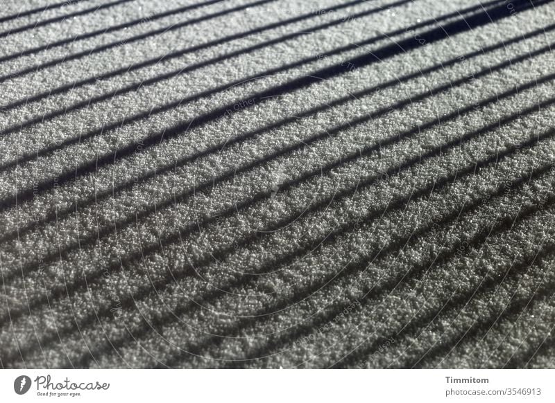 Es gab kalte Winter, Schnee und Licht und gelegentlich schöne Schatten Geländer Linien Schwarzweißfoto Außenaufnahme Baum