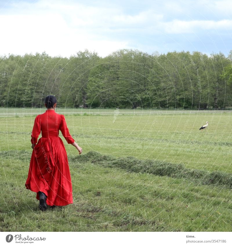 Estila und der Storch waldrand wiese dunkelhaarig zopf langhaarig kleid grün beobachten schauen feminin frau storch himmel gehen laufen grünschnitt heu